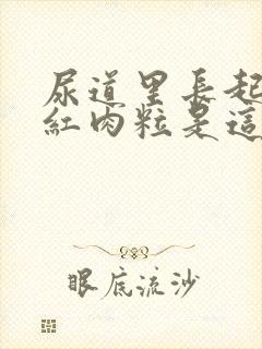 尿道里长起点小红肉粒是这么回事