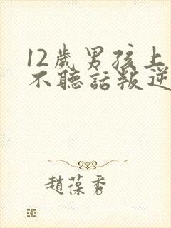 12岁男孩上学不听话叛逆怎么办