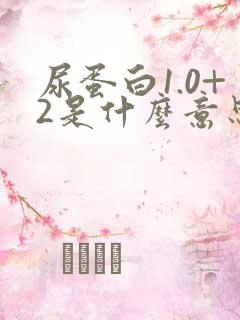 尿蛋白1.0+2是什么意思