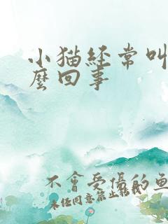 小猫经常叫唤怎么回事