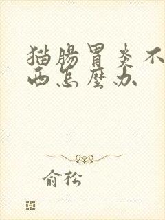 猫肠胃炎不吃东西怎么办