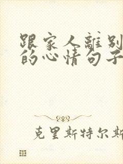 跟家人离别不舍的心情句子