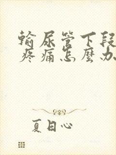 输尿管下段结石疼痛怎么办