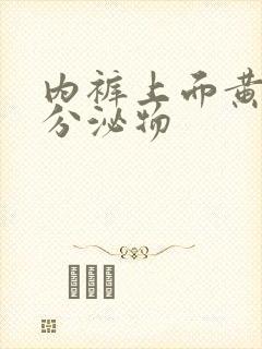 内裤上面黄黄的分泌物