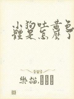 小狗吐黄色的液体是怎么了