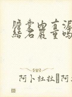 胆囊内有泥沙状结石严重吗