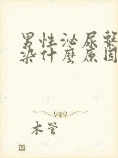 男性泌尿系统感染什么原因引起的