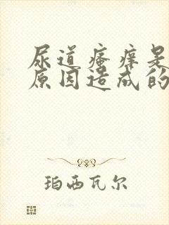 尿道瘙痒是什么原因造成的女性