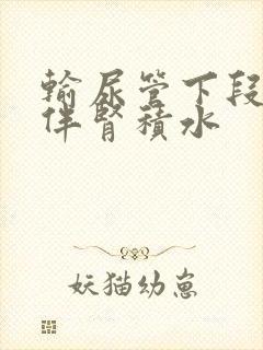 输尿管下段结石伴肾积水