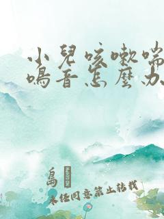 小儿咳嗽喘气有鸣音怎么办