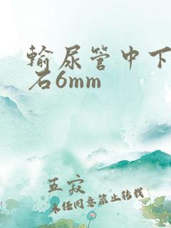 输尿管中下段结石6mm