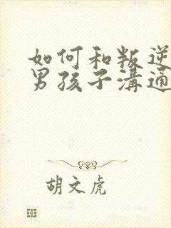 如何和叛逆期的男孩子沟通