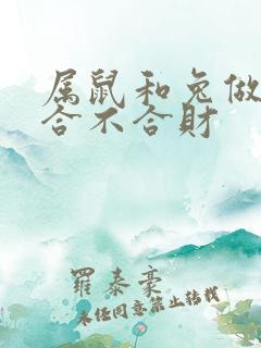 属鼠和兔做生意合不合财