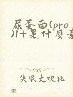 尿蛋白(pro)1+是什么意思