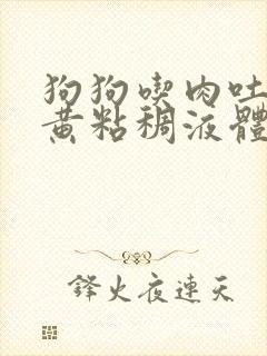 狗狗吃肉吐了黄黄粘稠液体