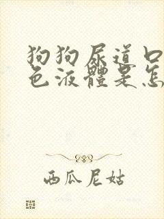 狗狗尿道口有黄色液体是怎么回事