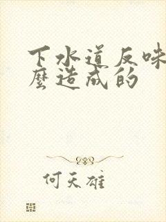 下水道反味是怎么造成的