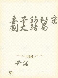 妻子的秘密电视剧大结局