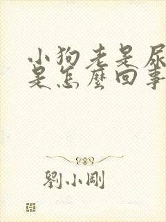 小狗老是尿,这是怎么回事