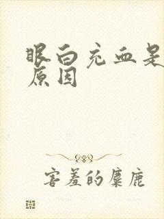 眼白充血是什么原因