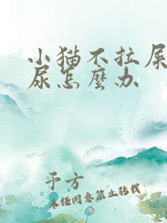 小猫不拉屎不拉尿怎么办