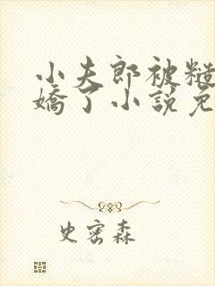 小夫郎被糙汉宠娇了小说免费阅读