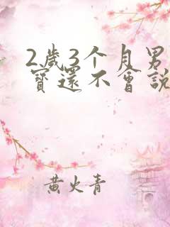 2岁3个月男宝宝还不会说话