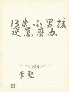 13岁小男孩叛逆怎么办