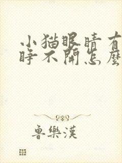 小猫眼睛有眼屎睁不开怎么办