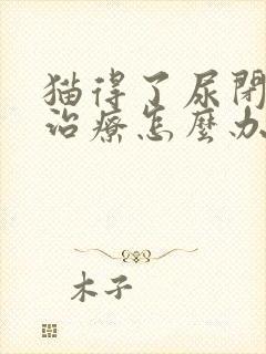 猫得了尿闭没钱治疗怎么办