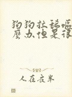 狗狗拉稀呕吐怎么办但是很活泼