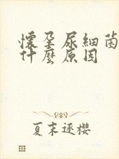 怀孕尿细菌高是什么原因