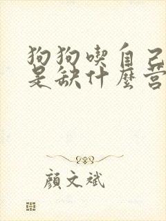 狗狗吃自己的屎是缺什么营养