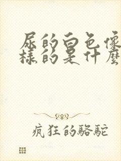 尿的白色像脓一样的是什么?