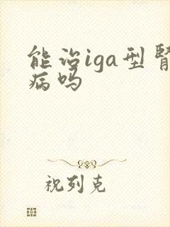 能治iga型肾病吗