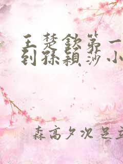 王楚钦第一次得到孙颖莎小说