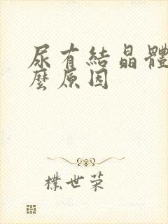 尿有结晶体是什么原因