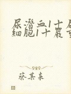 尿潜血1十尿白细胞1十严重吗