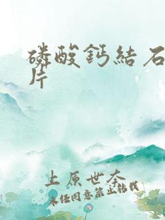 磷酸钙结石的图片