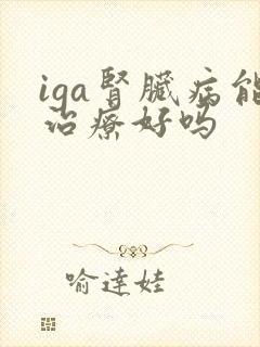 iga肾脏病能治疗好吗