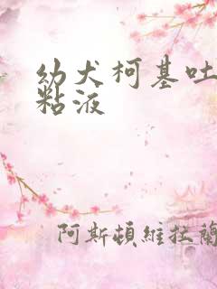 幼犬柯基吐白色粘液