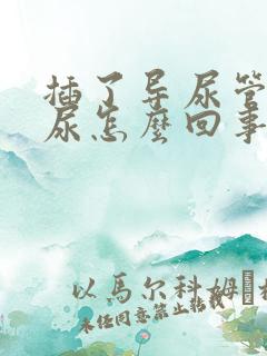 插了导尿管还漏尿怎么回事