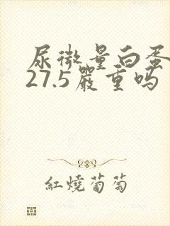 尿微量白蛋白高27.5严重吗