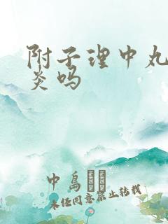 附子理中丸治胃炎吗