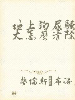 地上狗尿骚味很大怎么清除