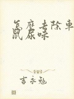 怎么去除车里老鼠尿味