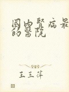 国内肾病最权威的医院