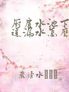 厨房水池下水管道漏水怎么办