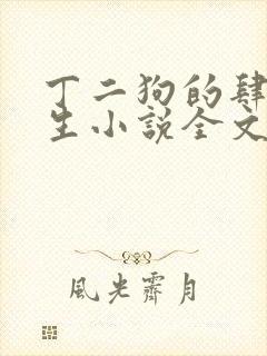 丁二狗的肆意人生小说全文免费