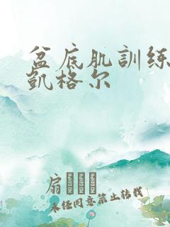 盆底肌训练器 凯格尔